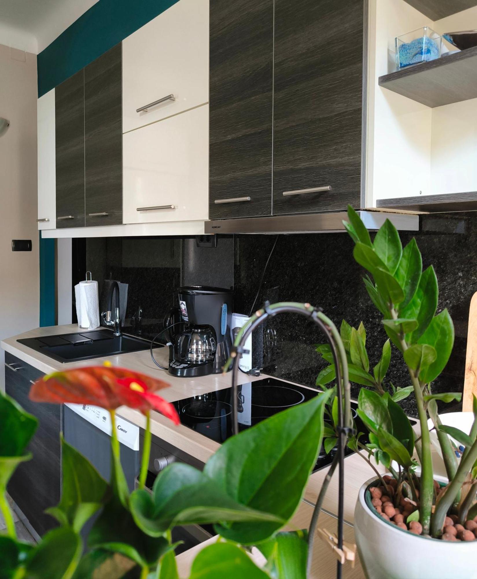 Urban Villa Apartment Opatija Zewnętrze zdjęcie